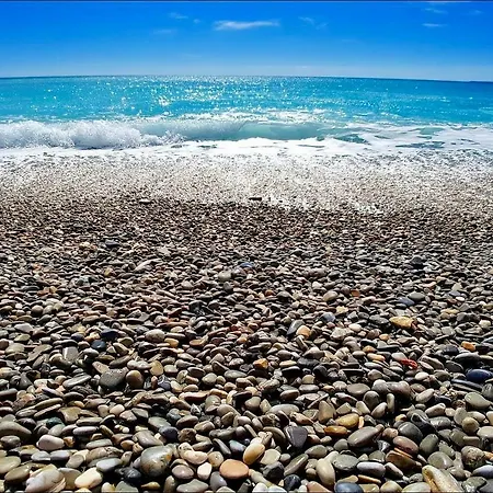 Florida Blue - Easy * Nizza