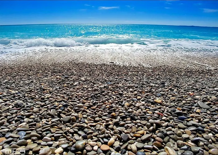 Florida Blue - Easy * 니스