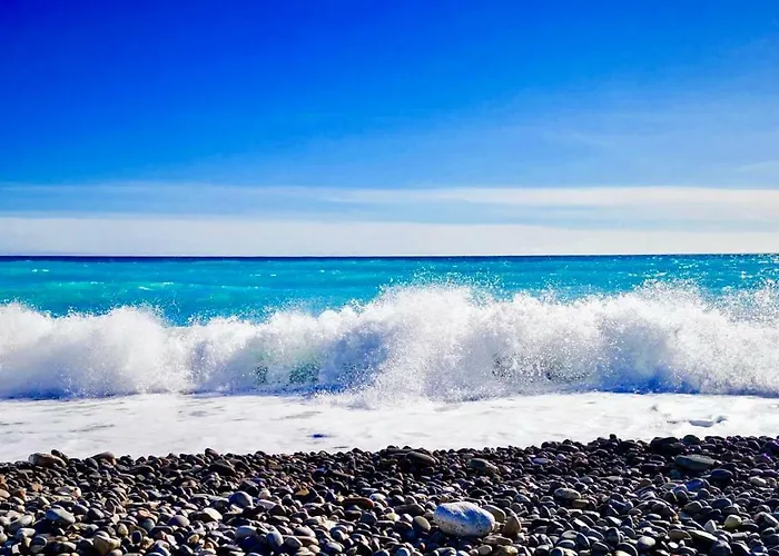 아파트 Florida Blue - Easy 니스